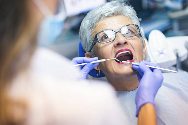 Reliable Punta Rassa, FL  Holistic Dental Services Solutions